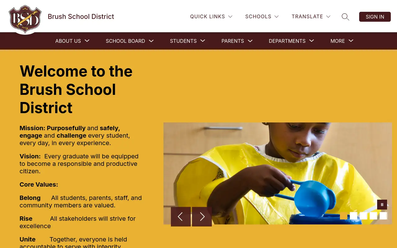 Screenshot of the Brush RE-2(J) homepage at scan time